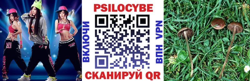 Купить  Николаевск  Псилоцибиновые грибы GOLDEN TEACHER 